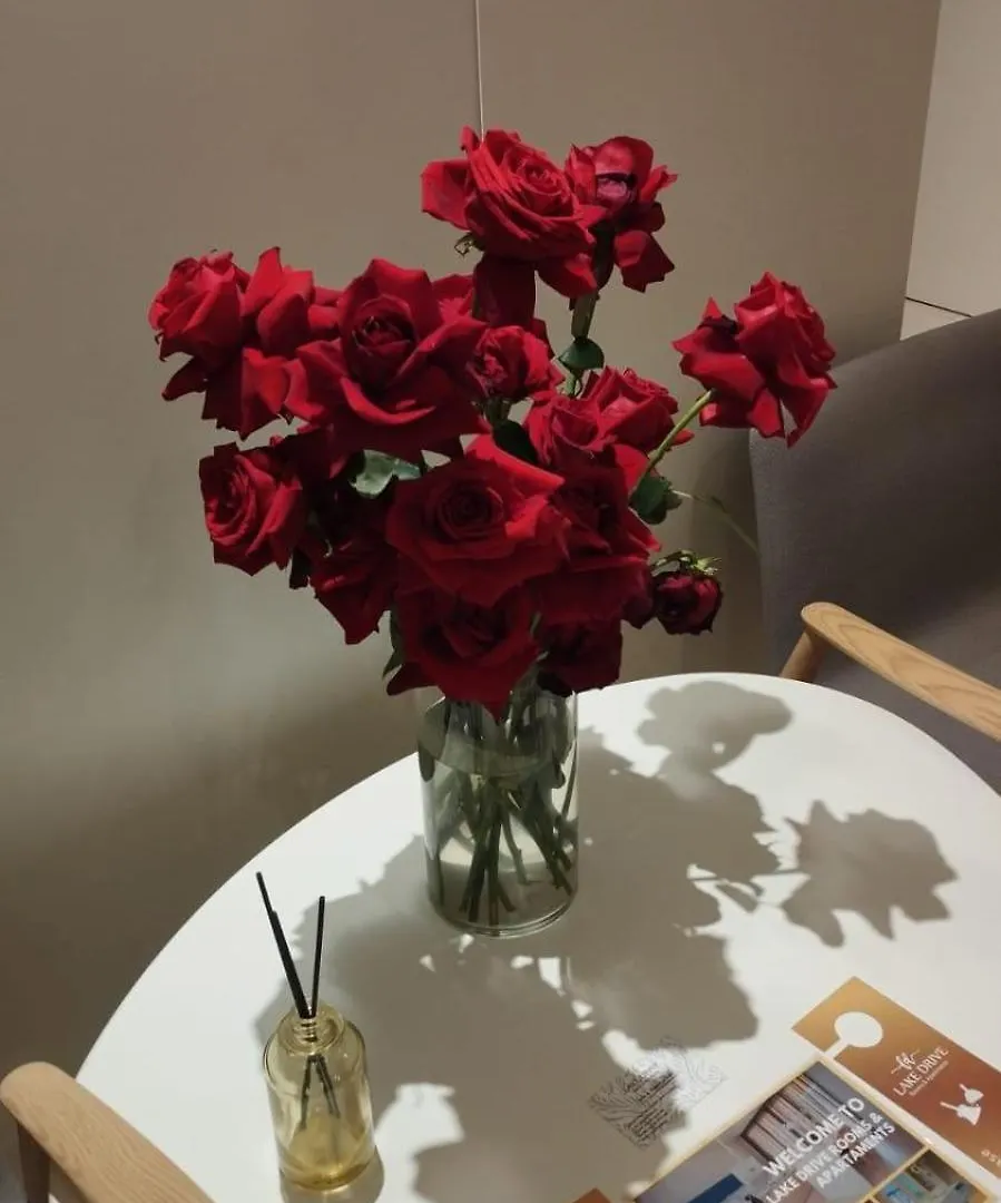 Lake Drive Rooms&Apartments 티라나 4*,